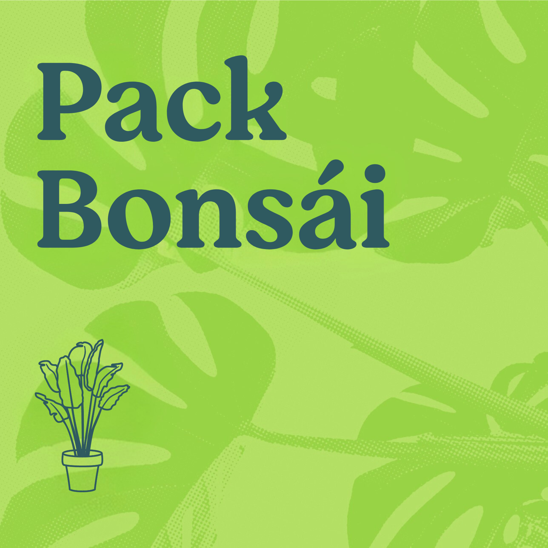 Pack Bonsái (1L)