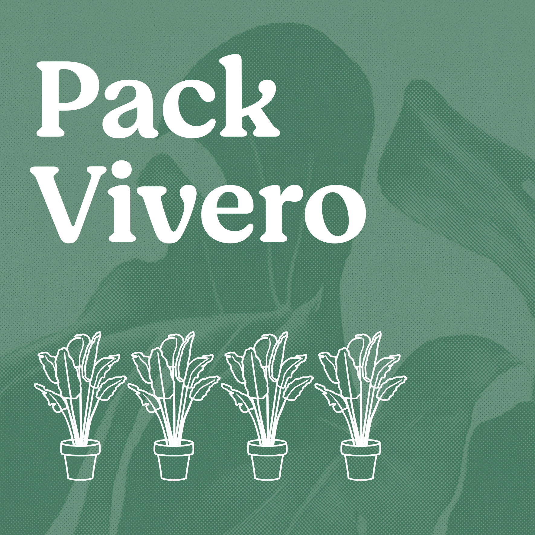 Programa tu Pack Vivero
