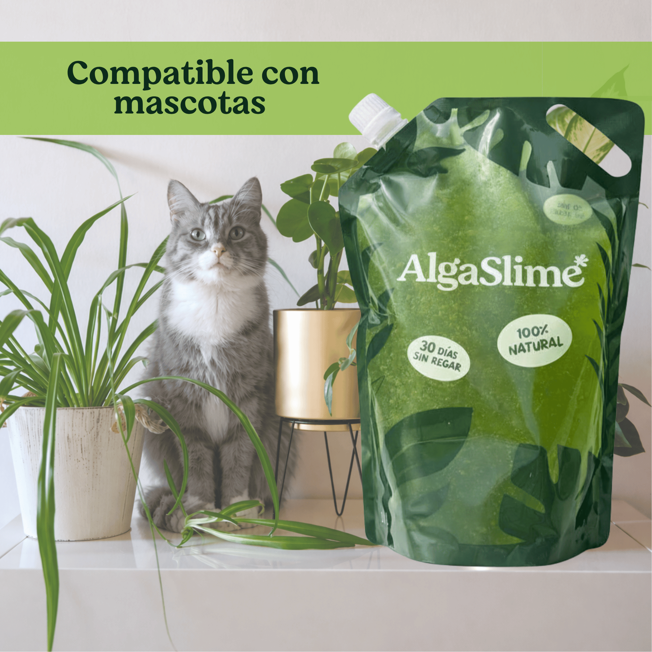 10 Litros AlgaSlime