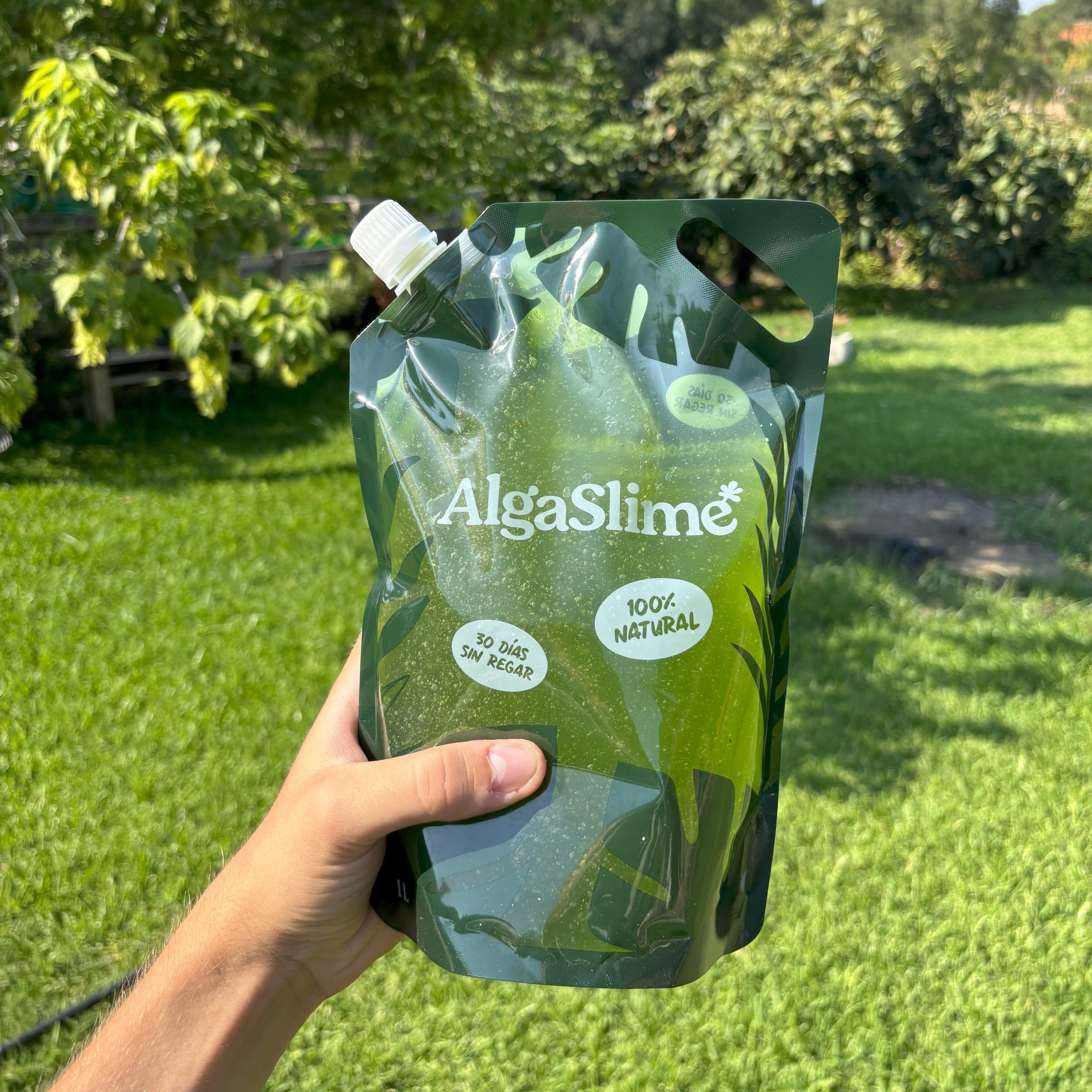Pack Bonsái (1L)