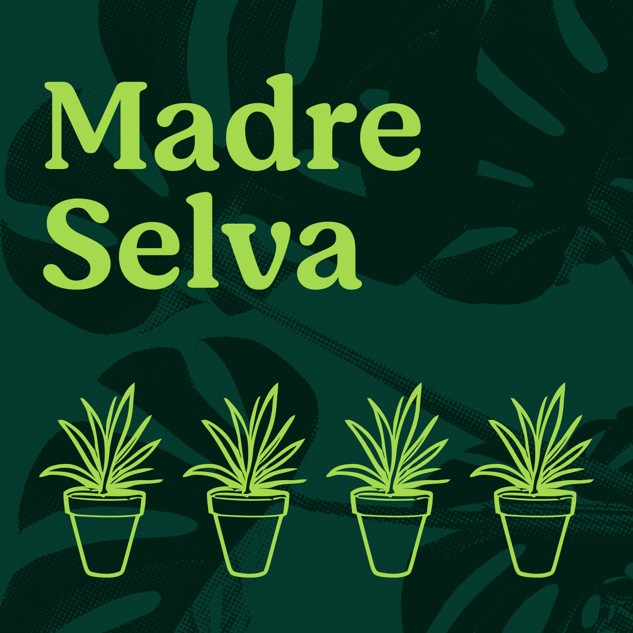 Plan Madre Selva