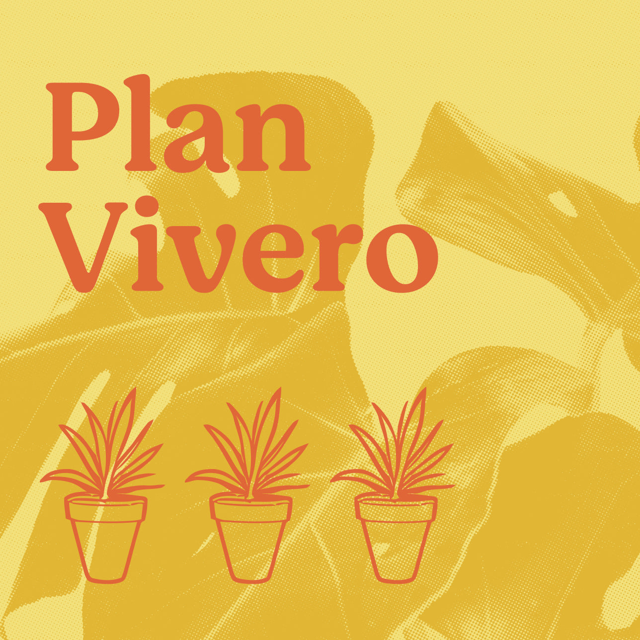 Plan Vivero