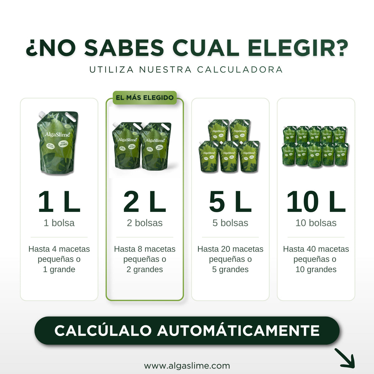 Formatos